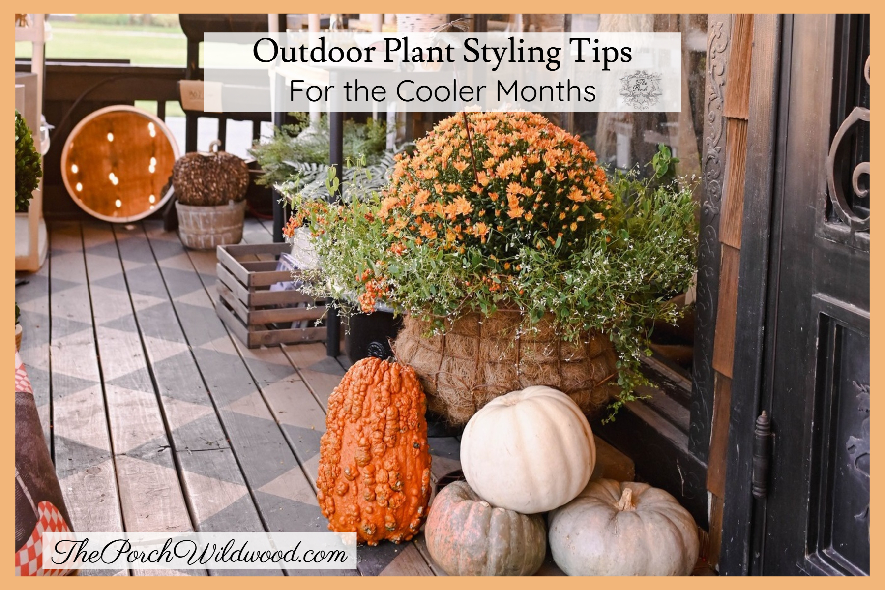 Outdoor Plant Styling